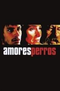VER Amores perros (2000) Online Gratis HD