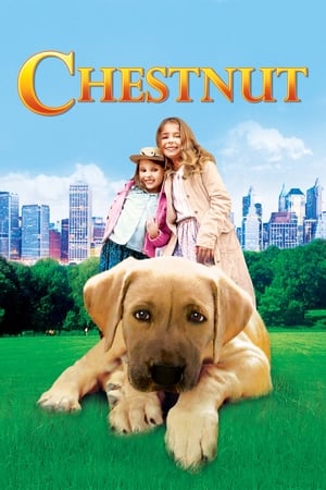 VER Chestnut: El héroe de Central Park (2004) Online Gratis HD