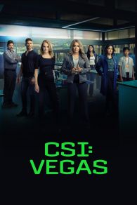 VER CSI: Vegas Online Gratis HD