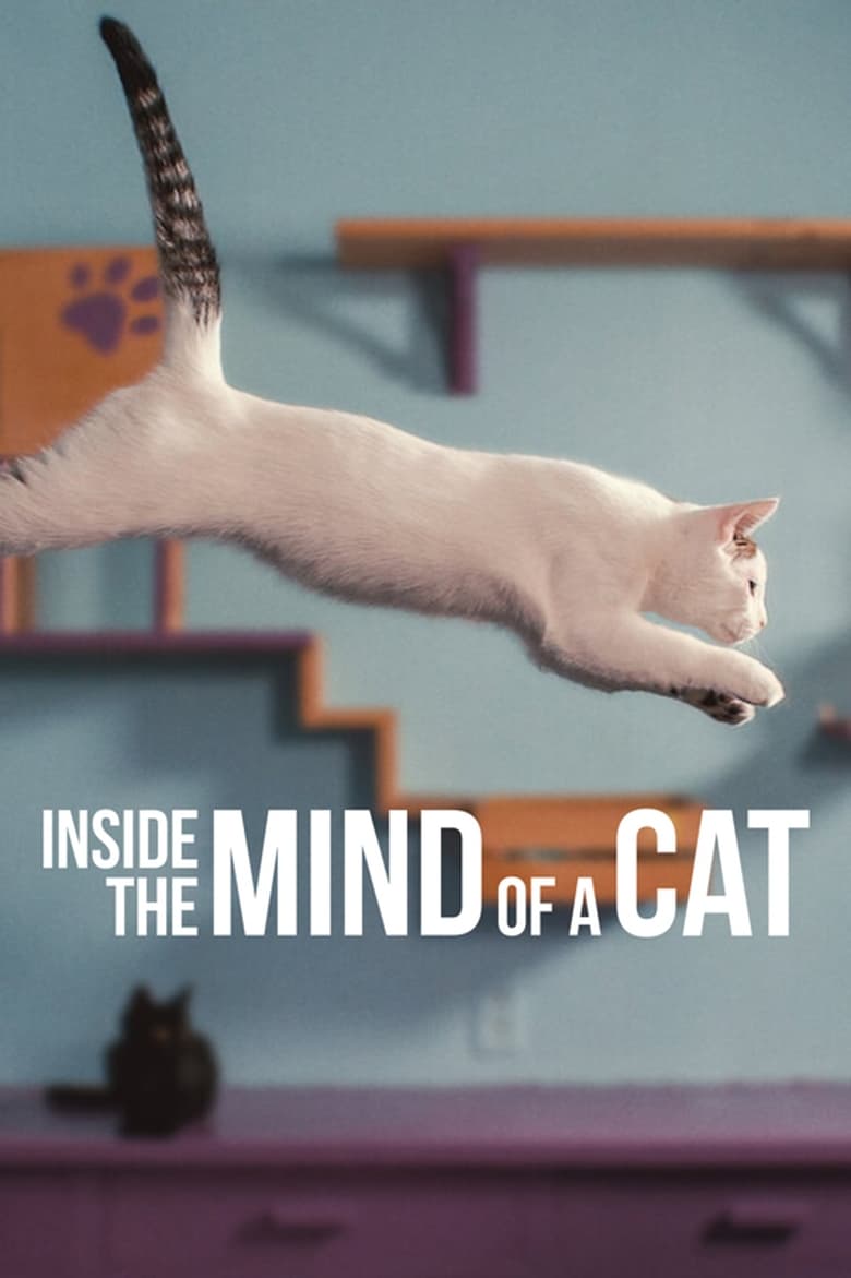 VER Dentro de la mente de un gato Online Gratis HD