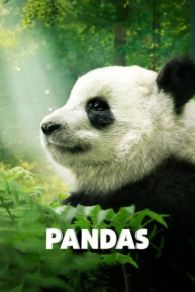 VER Pandas: El Camino a Casa (2018) Online Gratis HD