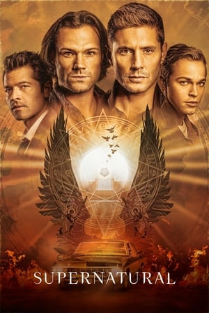 VER Supernatural (2005) Online Gratis HD